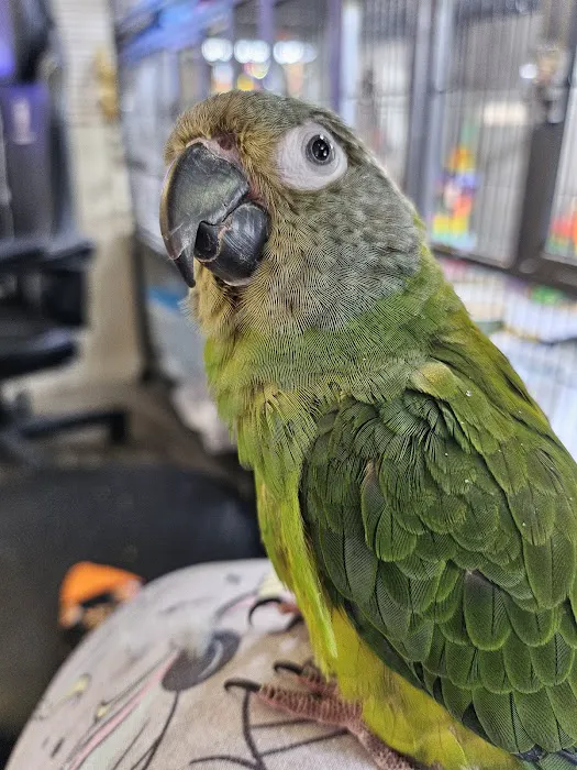 Avian & Exotic Animal Hospital Picture 3