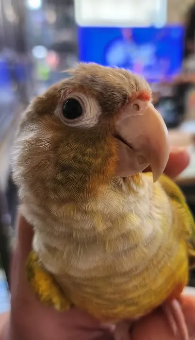 Avian & Exotic Animal Hospital Picture 5