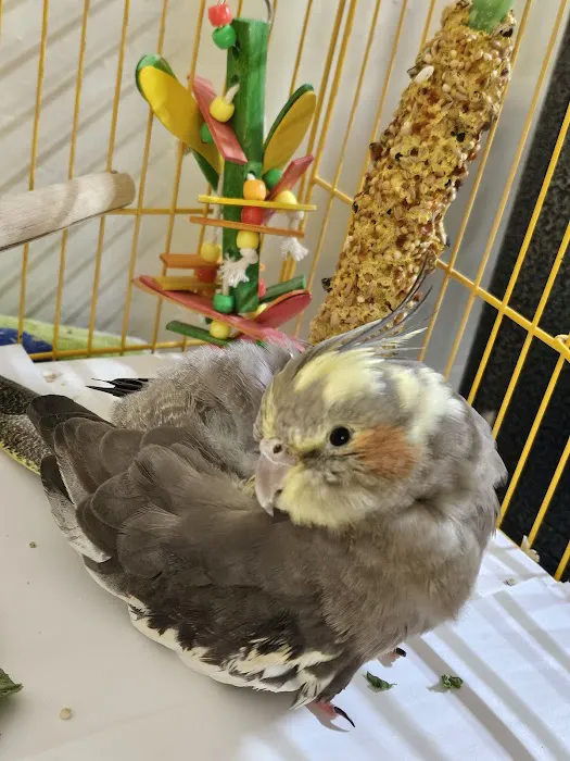 Avian & Exotic Animal Hospital Picture 7