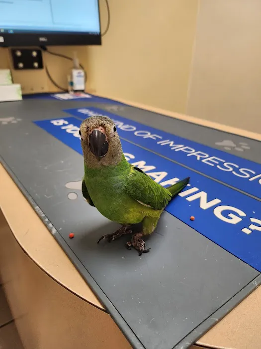 Avian & Exotic Animal Hospital Picture 2
