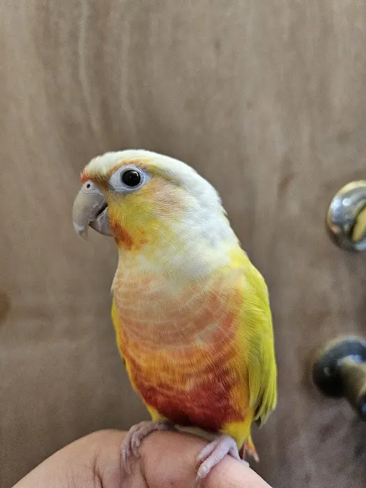 Avian & Exotic Animal Hospital Picture 6