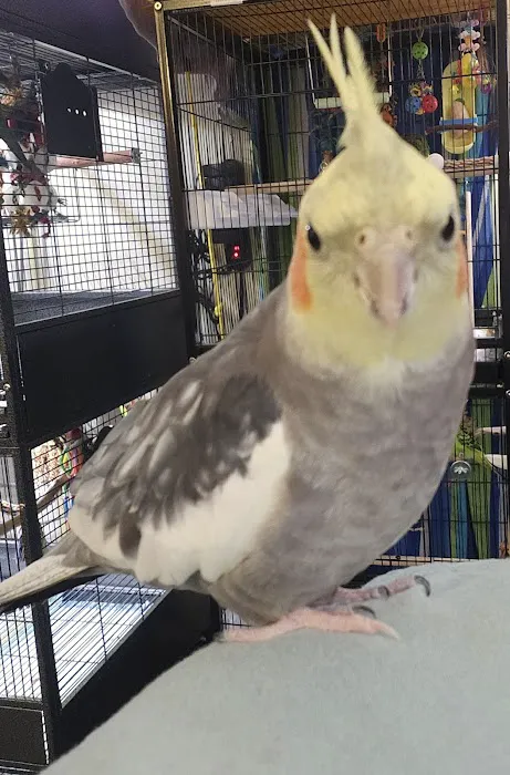 Avian & Exotic Animal Hospital Picture 8