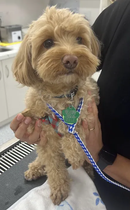 Rosecrans Veterinary Clinic Picture 3