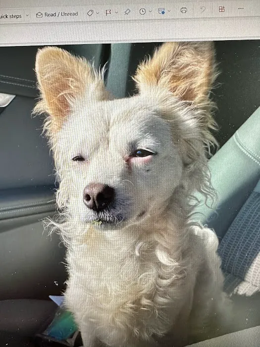 Rosecrans Veterinary Clinic Picture 10