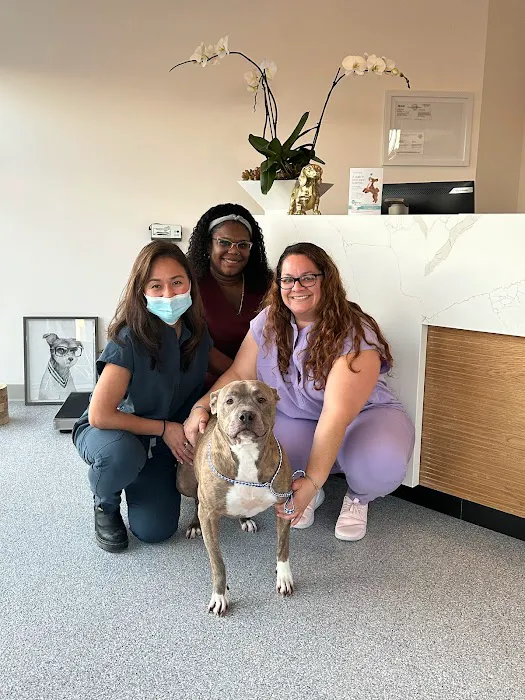 Rosecrans Veterinary Clinic Picture 1