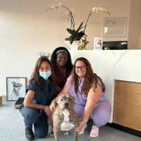 Rosecrans Veterinary Clinic ico