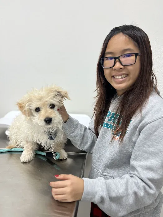 Animal Hospital of South Bay Picture 5
