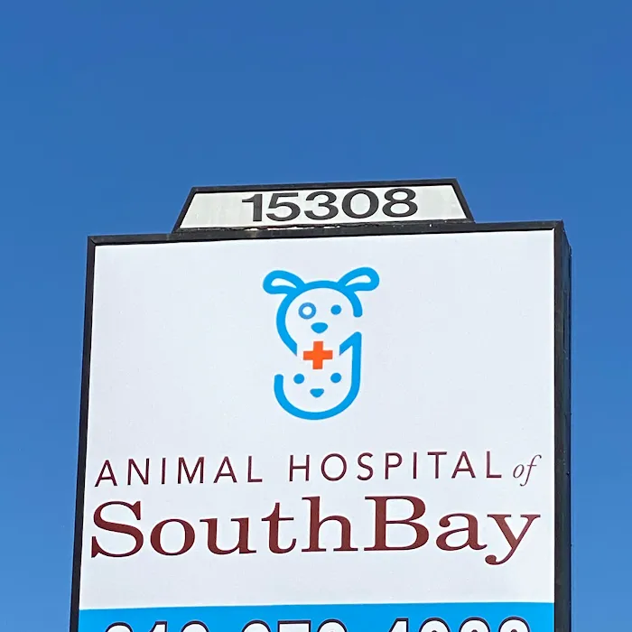 Animal Hospital of South Bay Picture 9