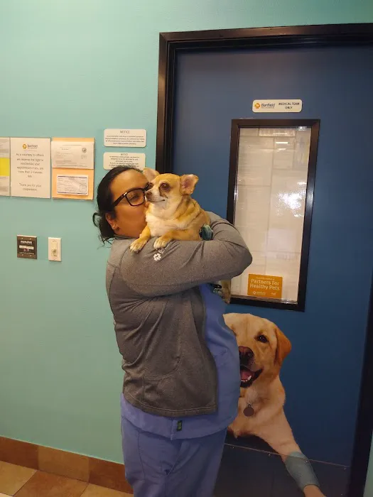Banfield Pet Hospital Picture 5