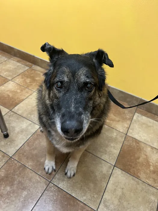 Banfield Pet Hospital Picture 9