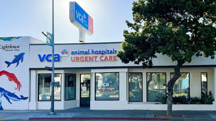 VCA Animal Hospitals Urgent Care - Mar Vista Picture 1