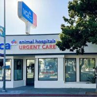VCA Animal Hospitals Urgent Care - Mar Vista ico
