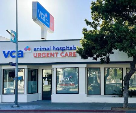 VCA Animal Hospitals Urgent Care - Mar Vista