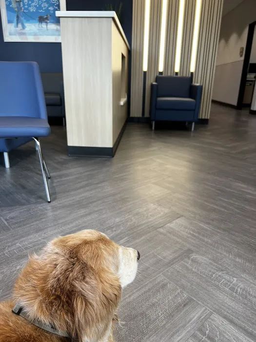 VCA Animal Hospitals Urgent Care - Mar Vista Picture 9