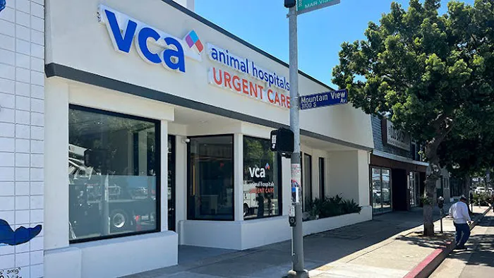 VCA Animal Hospitals Urgent Care - Mar Vista Picture 7