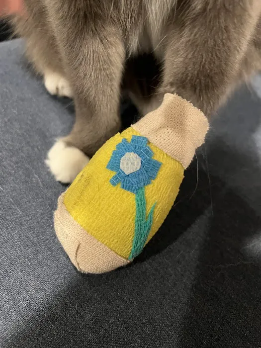 VCA Animal Hospitals Urgent Care - Mar Vista Picture 3