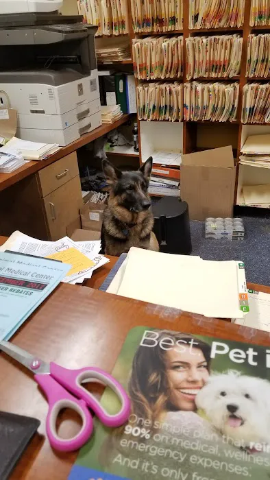 Mar Vista Animal Medical Center Picture 1