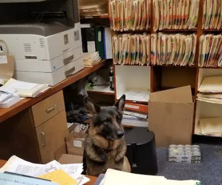 Mar Vista Animal Medical Center
