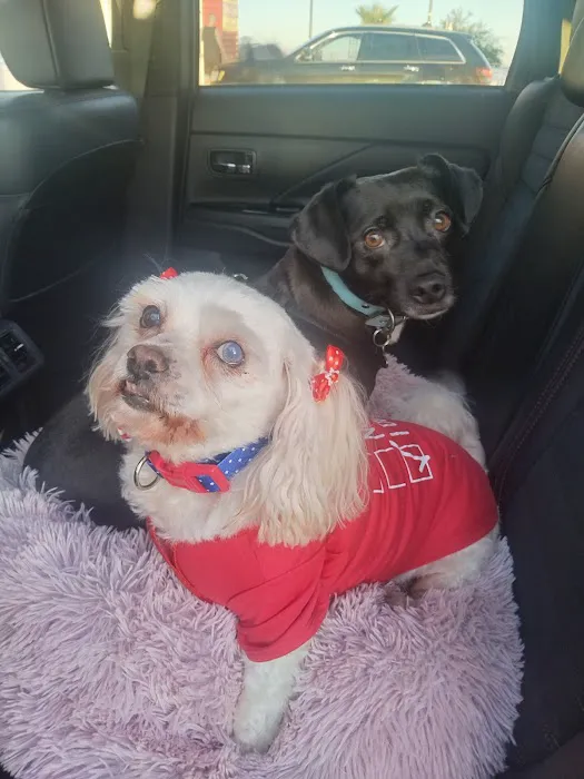 Animal Urgent Care Picture 8