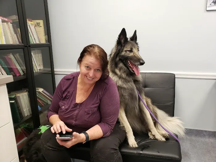 Limehouse Veterinary Clinic Picture 8