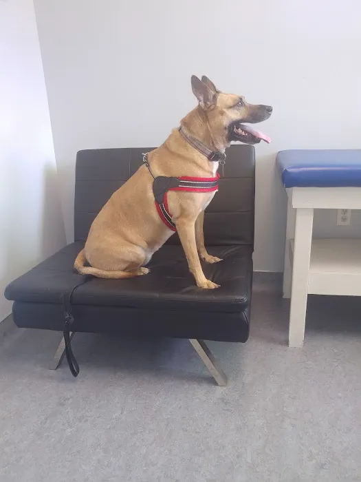 Limehouse Veterinary Clinic Picture 6