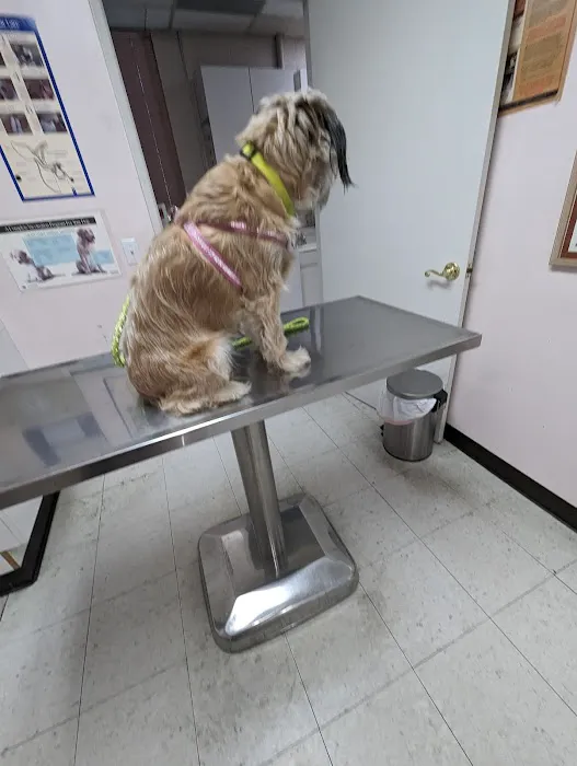 Glenoaks Animal Hospital Picture 2