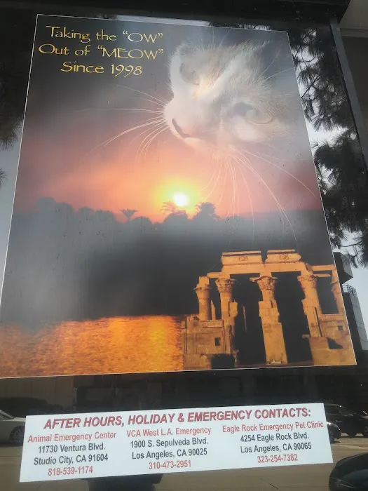 Bastet Cat Hospital, inc. Picture 4