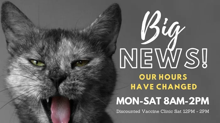 Bastet Cat Hospital, inc. Picture 3