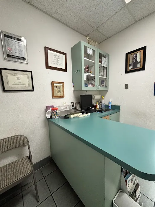 Bastet Cat Hospital, inc. Picture 8