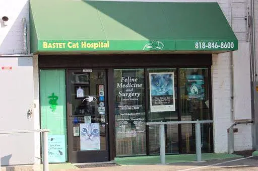 Bastet Cat Hospital, inc. Picture 1