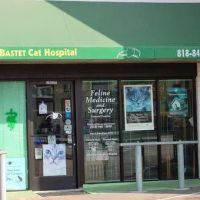 Bastet Cat Hospital, inc. ico
