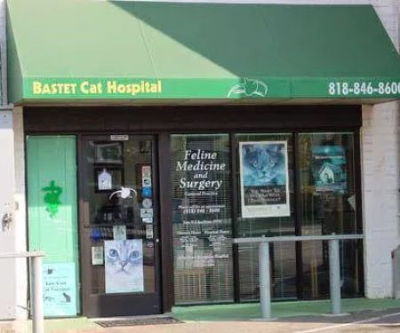 Bastet Cat Hospital, inc.
