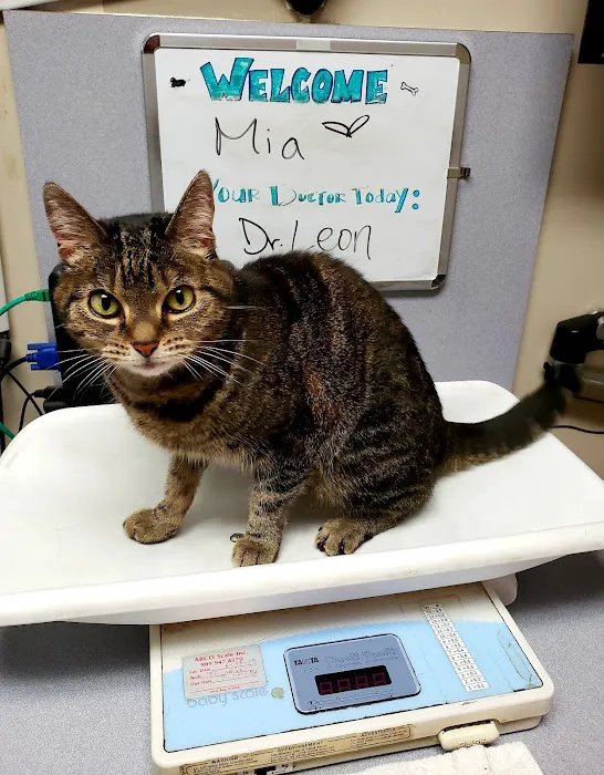 VCA Burbank Animal Hospital Picture 2