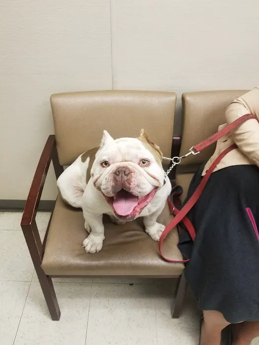 VCA Burbank Animal Hospital Picture 5