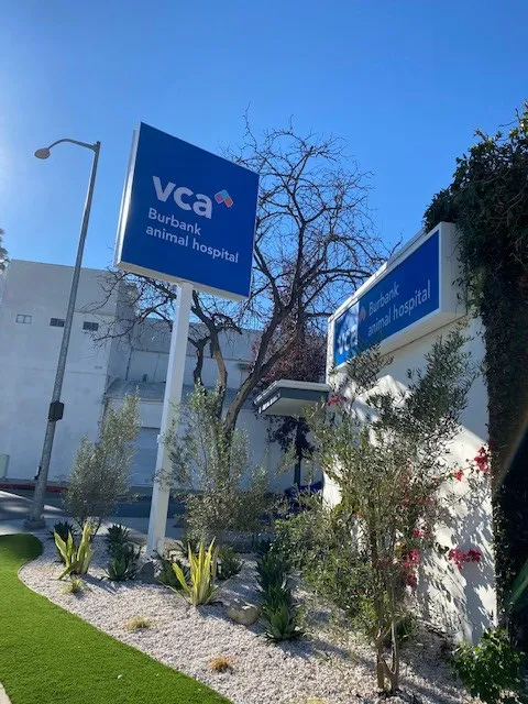 VCA Burbank Animal Hospital Picture 9