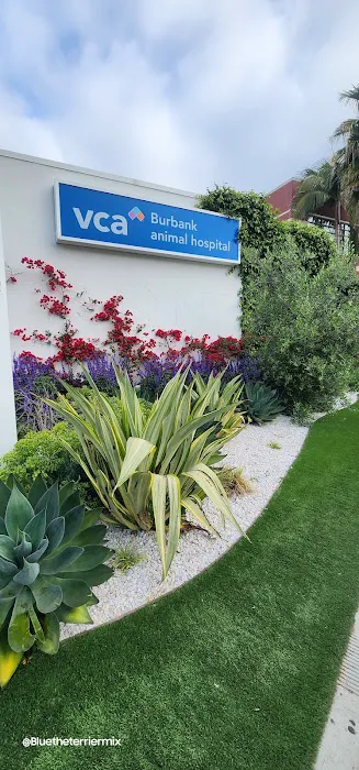 VCA Burbank Animal Hospital Picture 7