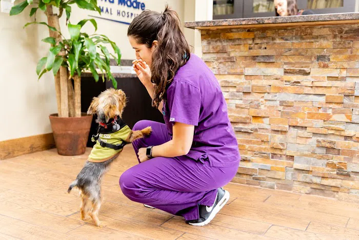 Sierra Madre Animal Hospital Picture 7