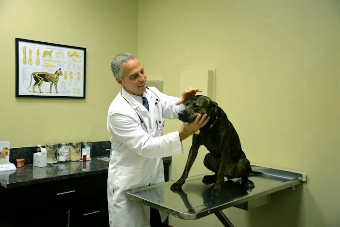 Sierra Madre Animal Hospital Picture 1