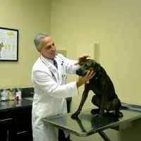 Sierra Madre Animal Hospital ico