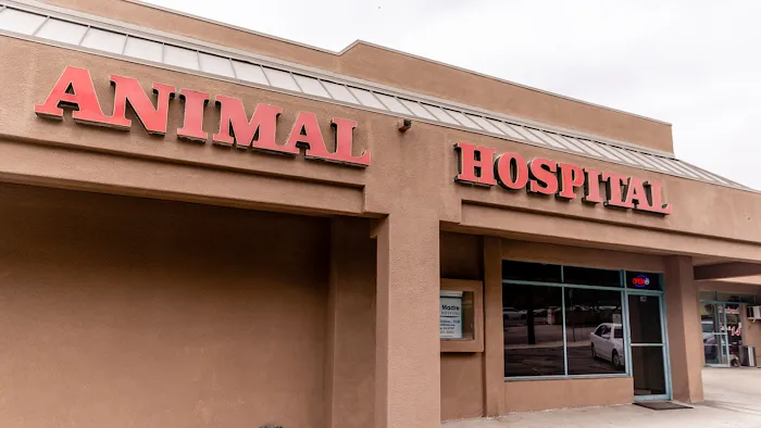 Sierra Madre Animal Hospital Picture 10