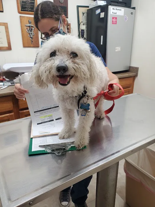 Montebello Veterinary Hospital Picture 8