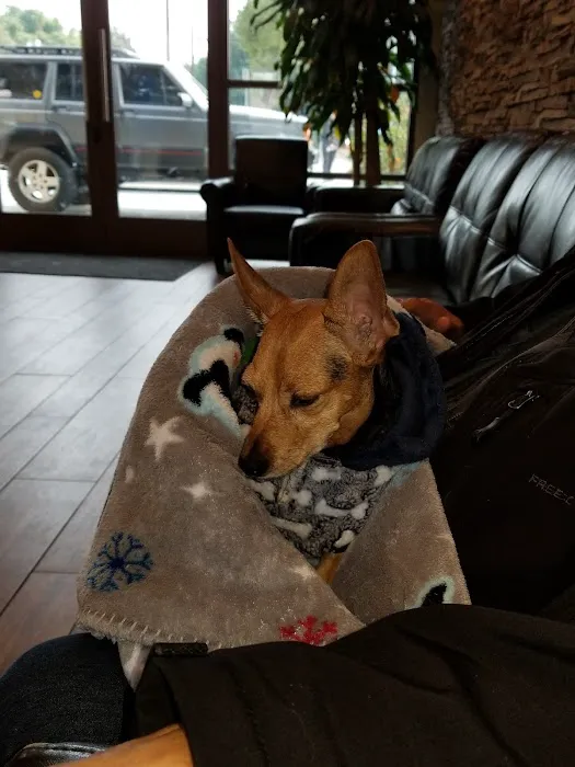 Park Community Animal Hospital Picture 4