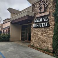 Park Community Animal Hospital ico
