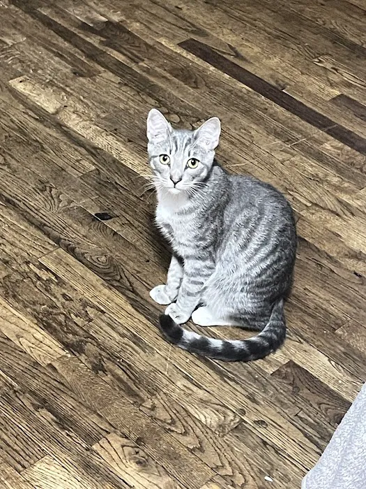 Park Community Animal Hospital Picture 10