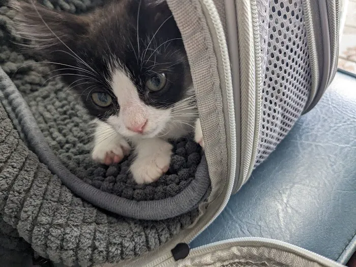 Garvey Pet Hospital Picture 9