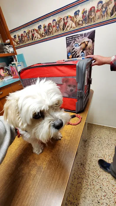 Las Tunas Animal Hospital Picture 6