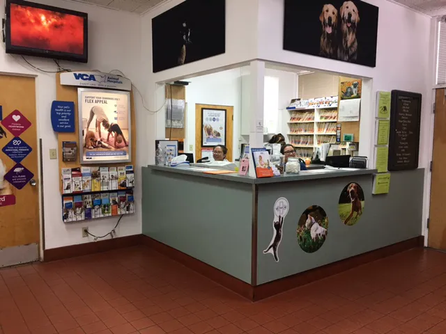 VCA Santa Anita Animal Hospital Picture 5