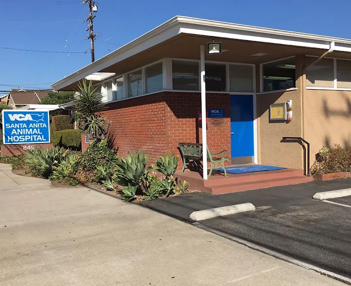VCA Santa Anita Animal Hospital Picture 6