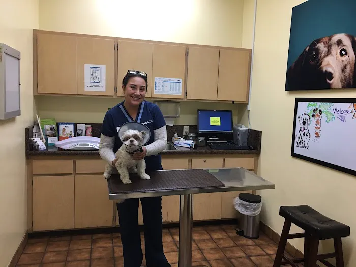 VCA Santa Anita Animal Hospital Picture 3