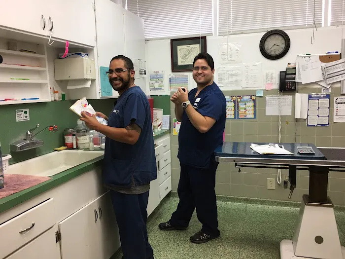 VCA Santa Anita Animal Hospital Picture 10